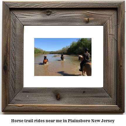 horse trail rides near me in Plainsboro, New Jersey